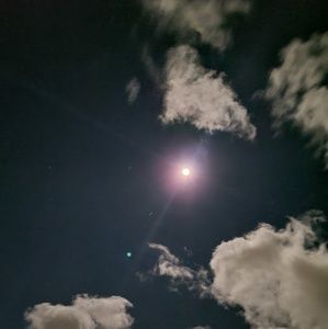 Meet your Posher, Robin